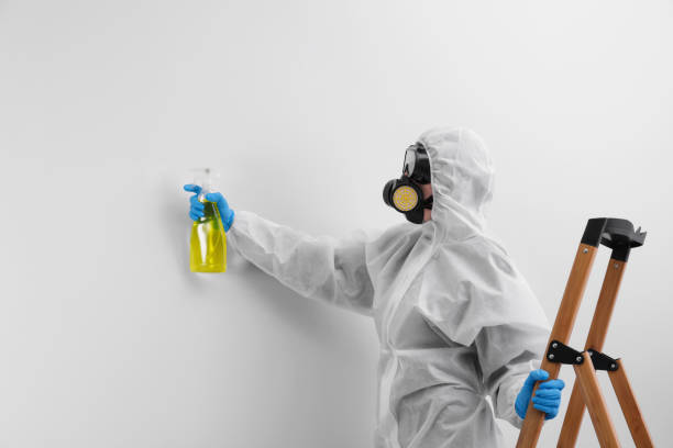 Trusted Parker, SC Mold Removal & Remediation Experts